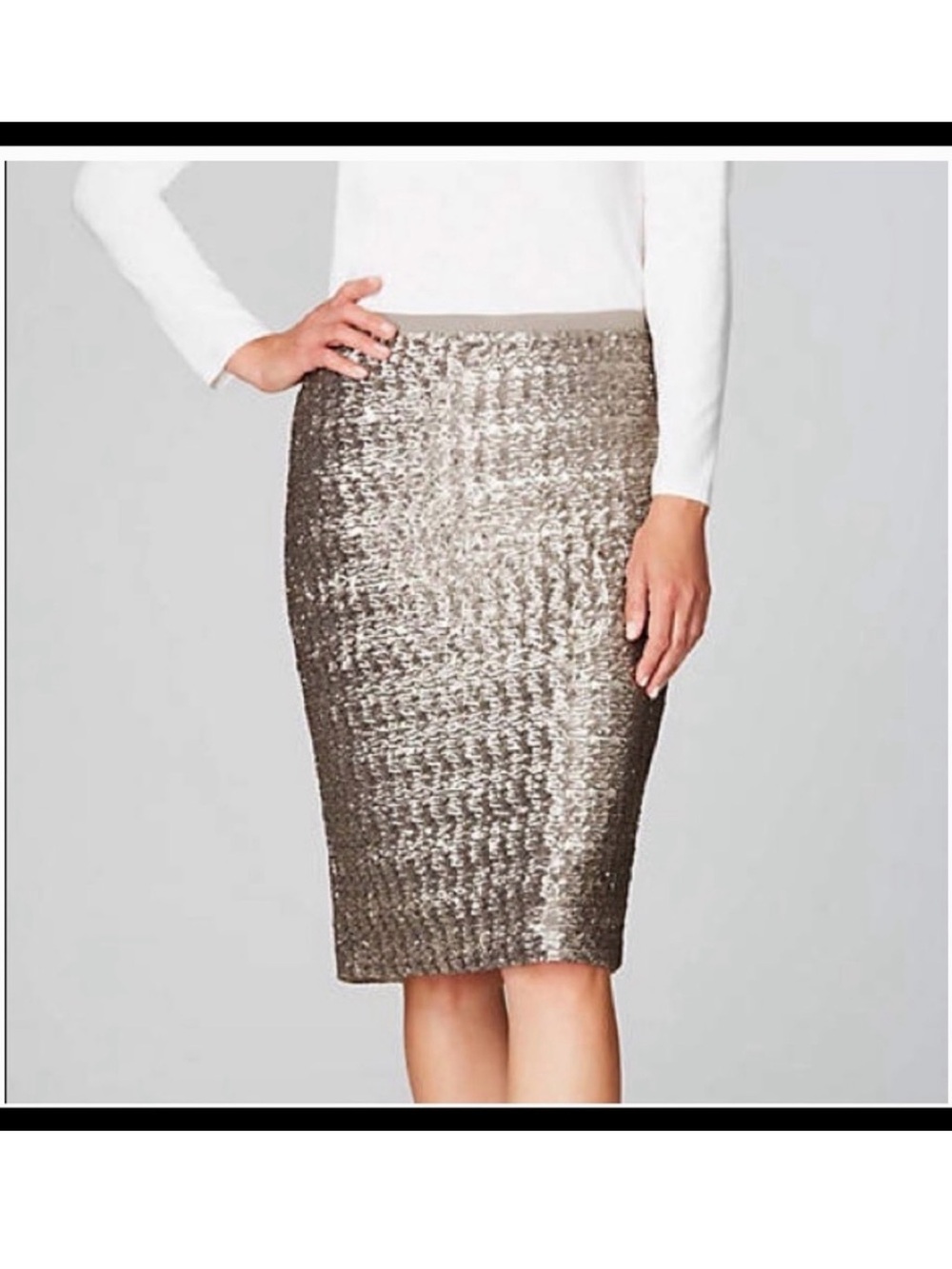J. Jill Metallic Silver and Taupe Sequin Pencil Skirt